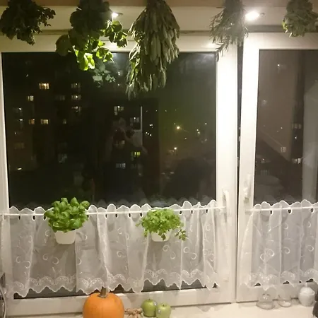 Apartment Widzew-wschod *